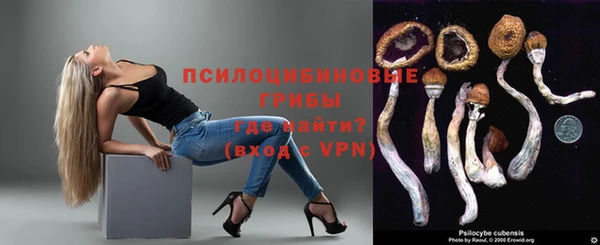 эйфоретик Вуктыл