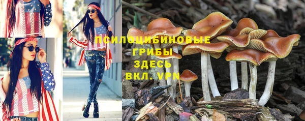 экстази Няндома