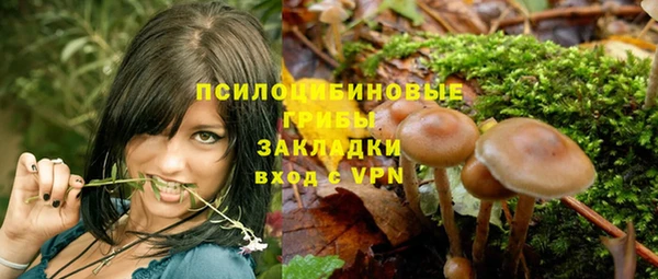 экстази Няндома