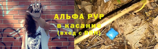 тгк Осташков