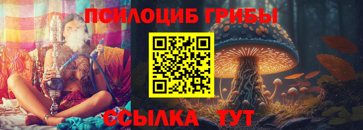 Котлас  Галлюциногенные грибы мухоморы  Вход с VPN 