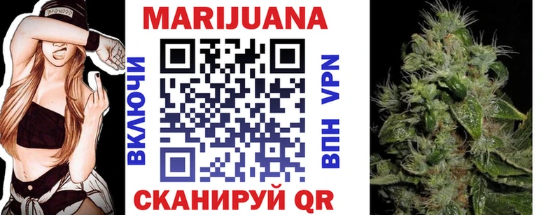 где продают наркотики Котлас Каннабис индика